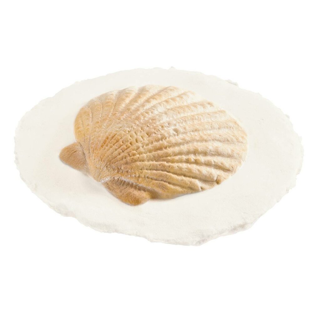 Shell Token (pack of 6)
